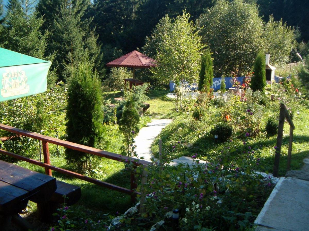 Complex Panoramic Predeal Bagian luar foto