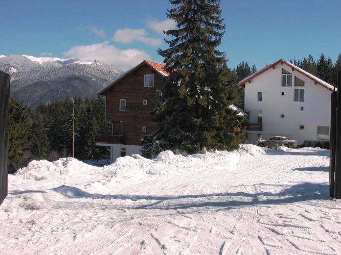 Complex Panoramic Predeal Bagian luar foto