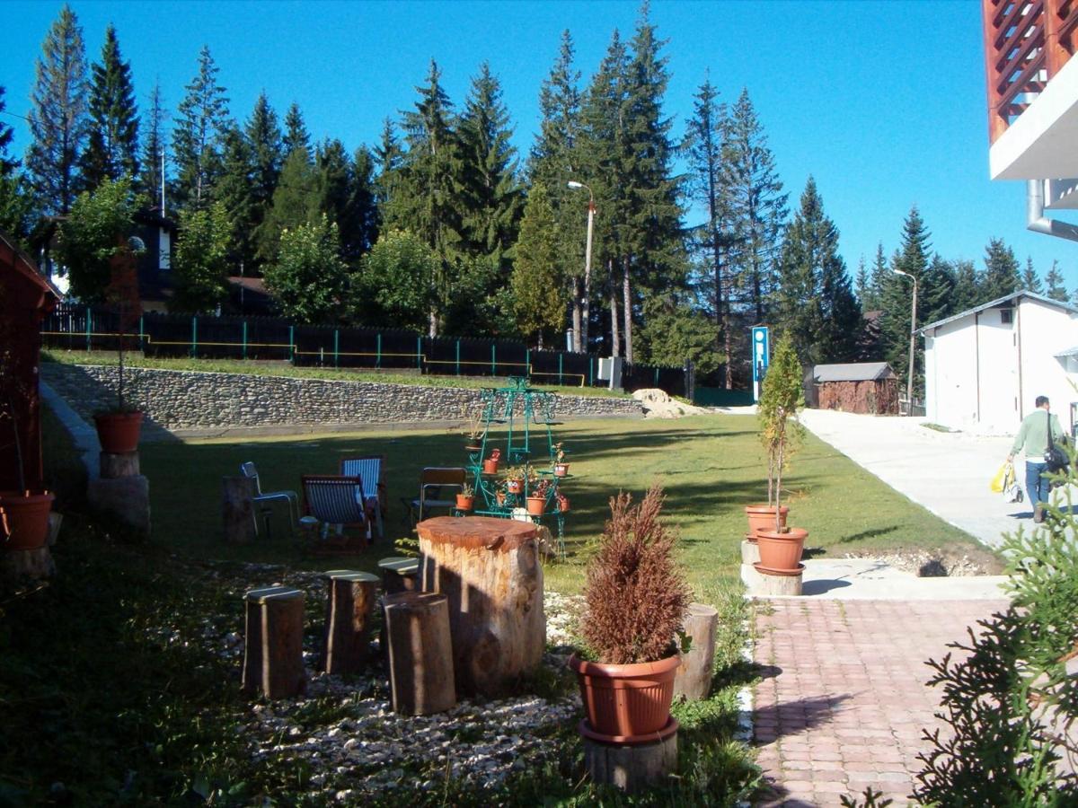 Complex Panoramic Predeal Bagian luar foto